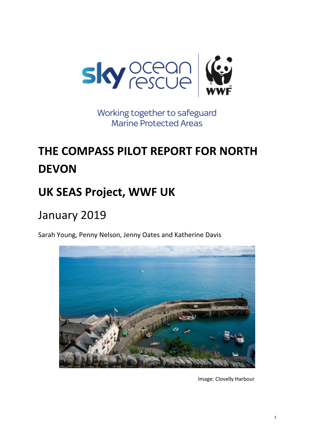 Report on the Compass Pilot for North Devon