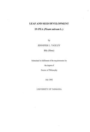 Leaf and Seed Development in Pea (Pisum Sativum