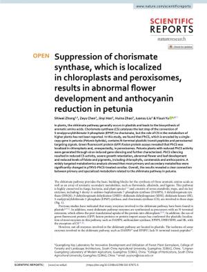 Suppression of Chorismate Synthase, Which Is Localized in Chloroplasts