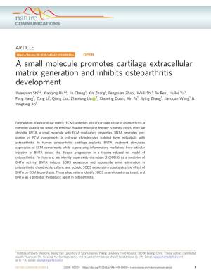 A Small Molecule Promotes Cartilage Extracellular Matrix Generation and Inhibits Osteoarthritis Development