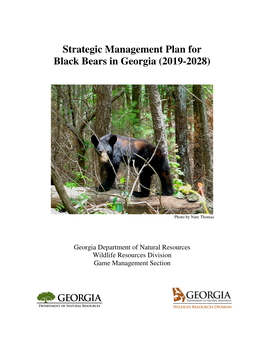 Bear Strategic Management Plan