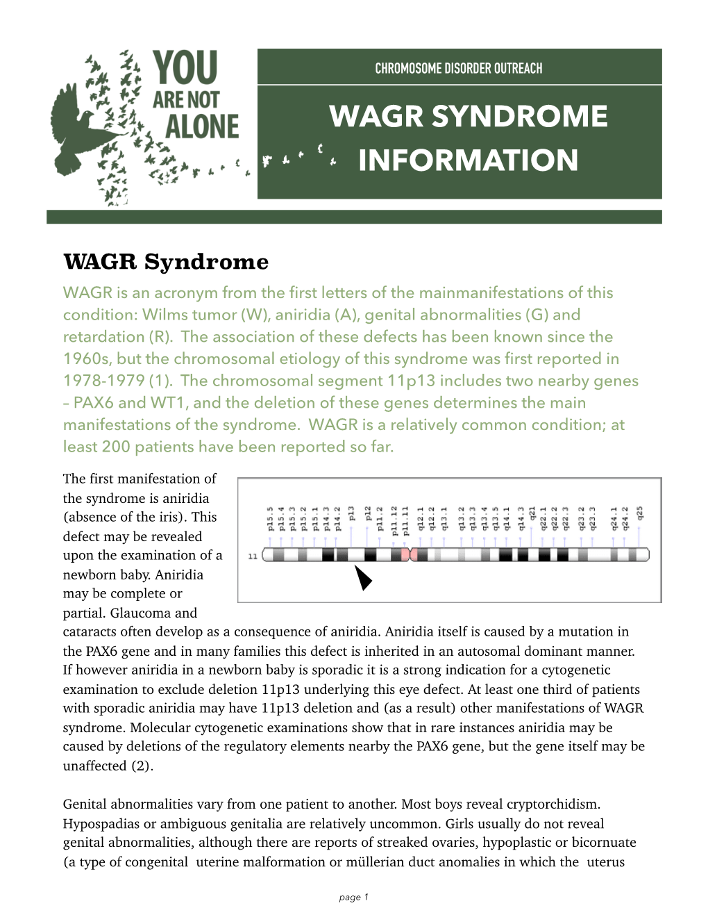 Wagr Syndrome Information