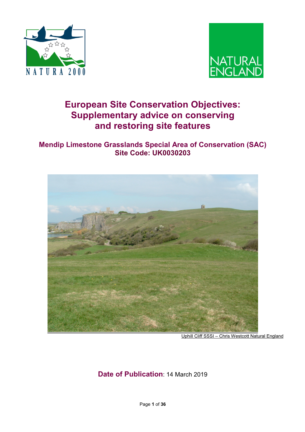 Supplementary Advice on Conserving and Restoring Site Features