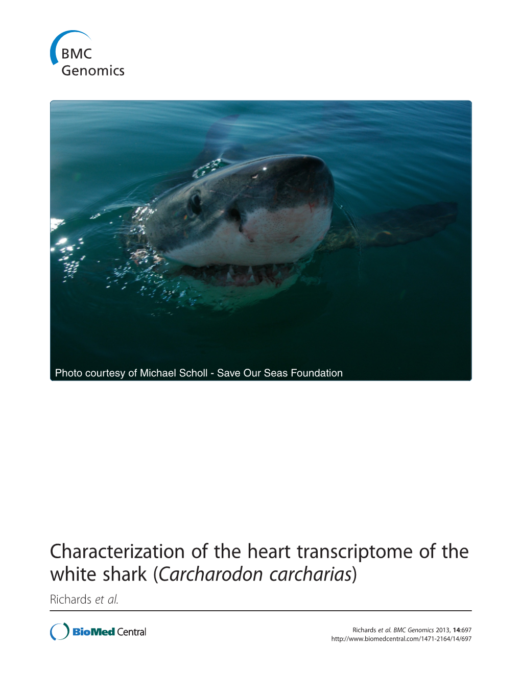 Characterization of the Heart Transcriptome of the White Shark (Carcharodon Carcharias) Richards Et Al