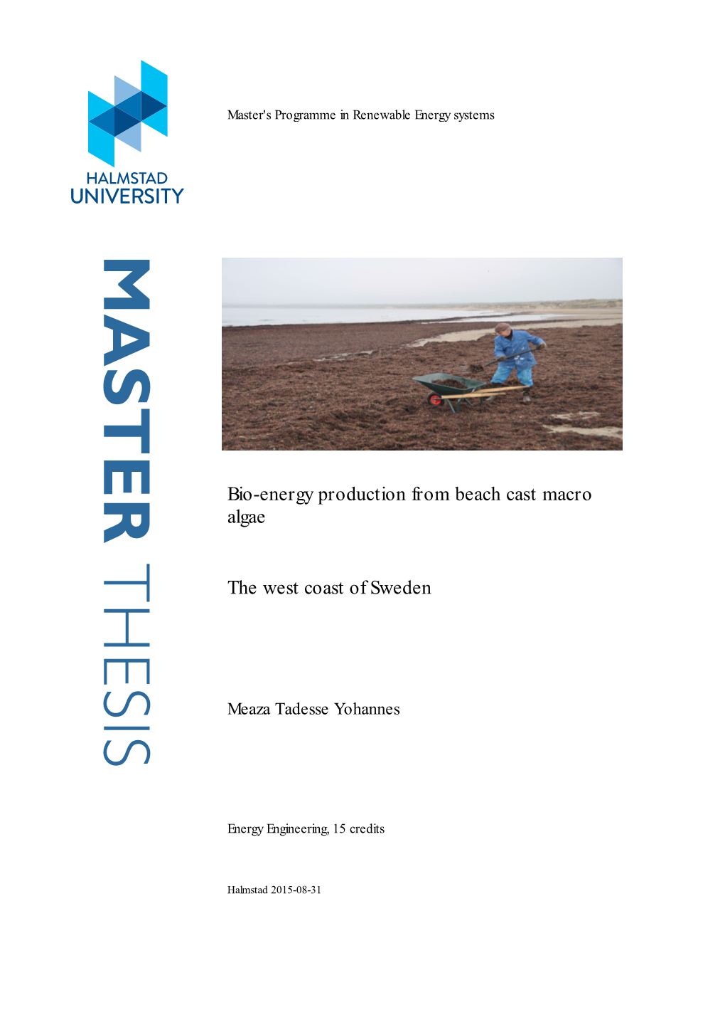 Master Thesis