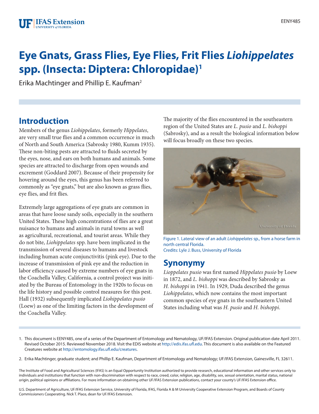 Eye Gnats, Grass Flies, Eye Flies, Frit Flies Liohippelates Spp. (Insecta: Diptera: Chloropidae)1 Erika Machtinger and Phillip E