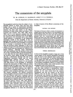 The Connexions of the Amygdala