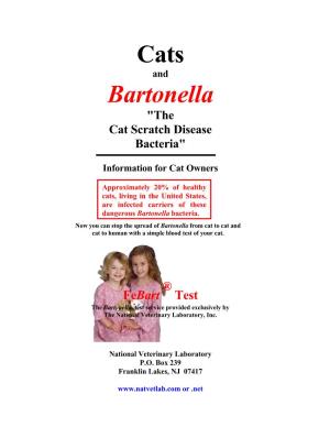 Cats Bartonella