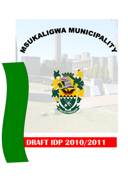 Msukaligwa Local Municipality