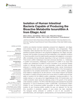 Isolation of Human Intestinal Bacteria Capable of Producing the Bioactive Metabolite Isourolithin a from Ellagic Acid