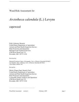 Arctotheca Calendula (L.) Levyns Capeweed