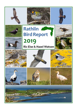 Rathlin Bird Report 2019 Bird Sightings on Rathlin Island in 2019