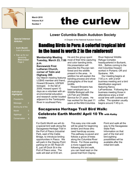 The Curlew Page 1 of 8