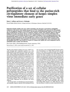 Purification of a Set of Cellular Polypeptides That Bind to the Purine-Rich Cis-Regulatory Element of Herpes Simplex Virus Immediate Early Genes