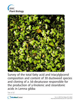 Survey of the Total Fatty Acid and Triacylglycerol Composition and Content of 30 Duckweed Species and Cloning of a Δ6-Desaturas