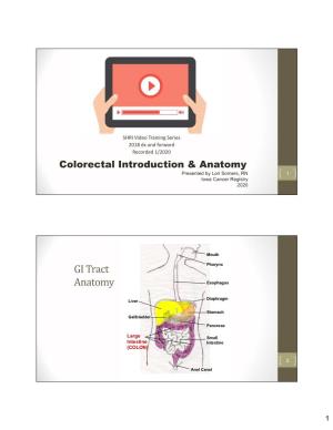 GI Tract Anatomy