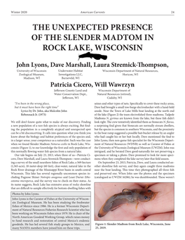 The Unexpected Presence of the Slender Madtom in Rock Lake, Wisconsin John Lyons, Dave Marshall, Laura Stremick- Thompson, Patricia Cicero, Will Wawrzyn