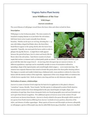 Virginia Native Plant Society's 2010 Wildflower of the Year