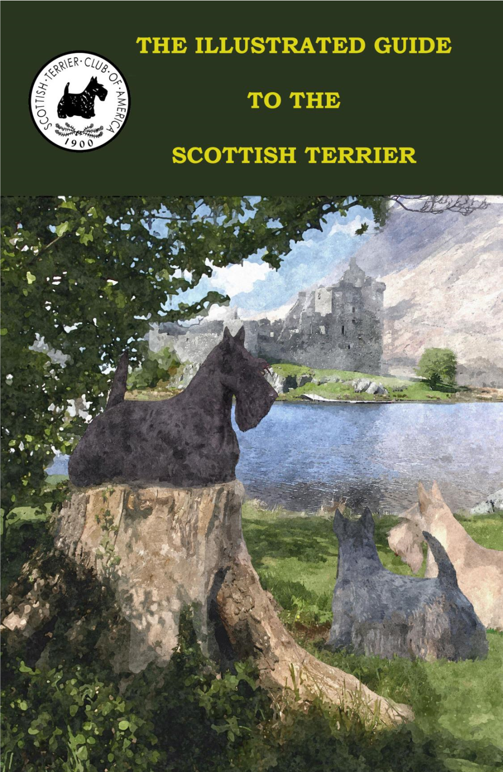 Key Elements of Scottish Terrier Type