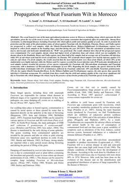 Propagation of Wheat Fusarium Wilt in Morocco