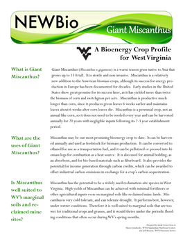 Giant Miscanthus: a Bioenergy Crop Profile for West Virginia