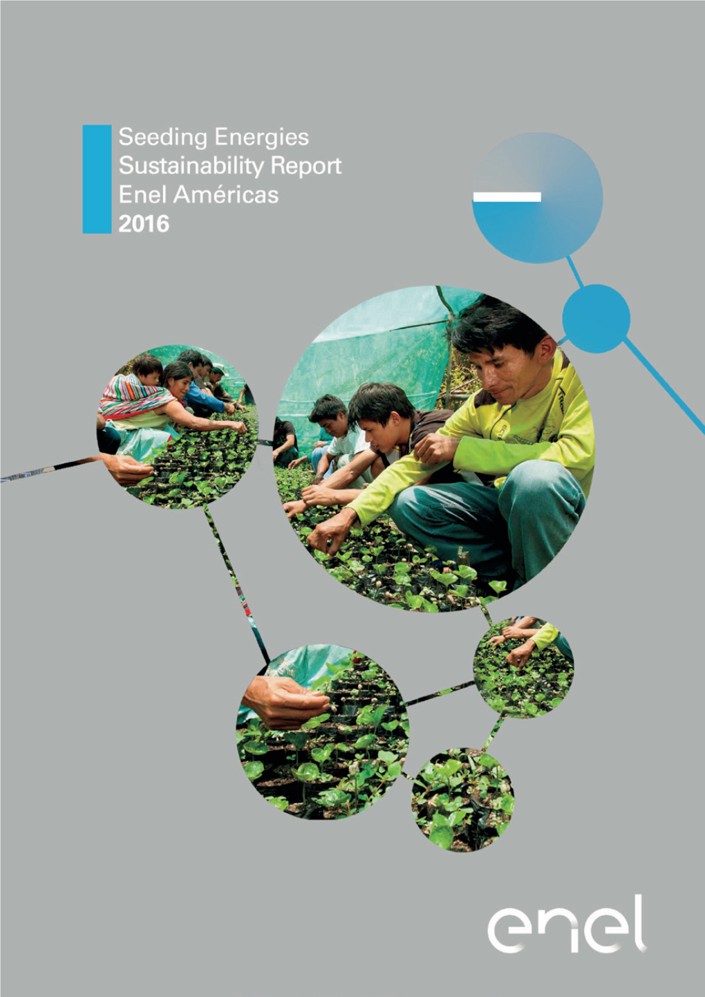 Sustainability Report ENEL AMÉRICAS 2016