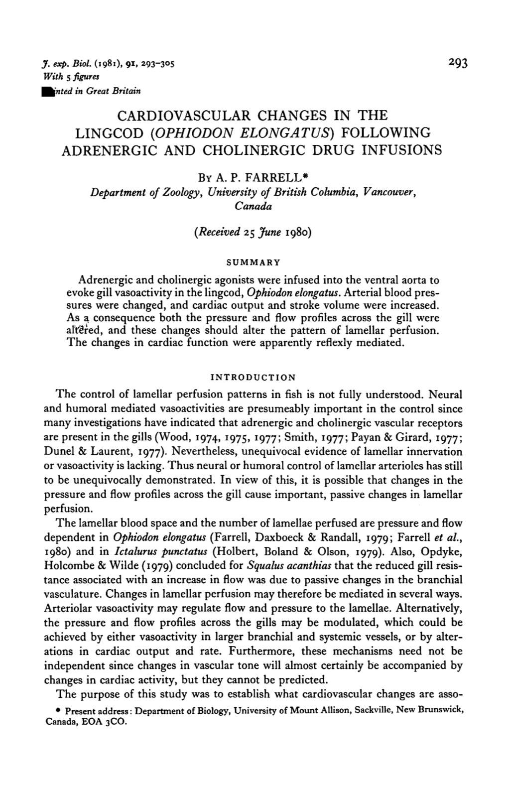 Cardiovascular Changes in the Lingcod (Ophiodon Elongatus) Following Adrenergic and Cholinergic Drug Infusions