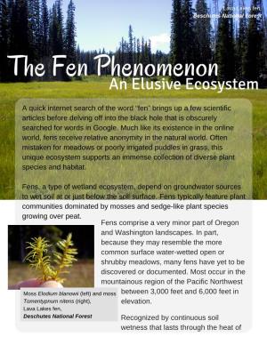 The Fen Phenomenon an Elusive Ecosystem