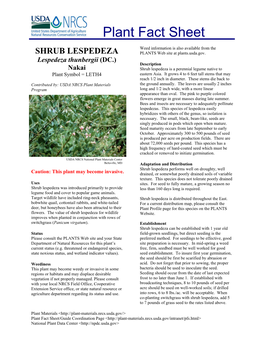 SHRUB LESPEDEZA PLANTS Web Site at Plants.Usda.Gov