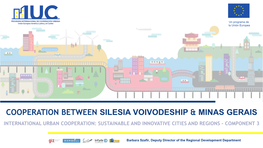 Cooperation Between Silesia Voivodeship & Minas Gerais