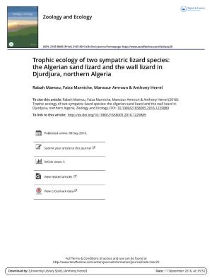 Trophic Ecology of Two Sympatric Lizard Species: the Algerian Sand Lizard and the Wall Lizard in Djurdjura, Northern Algeria