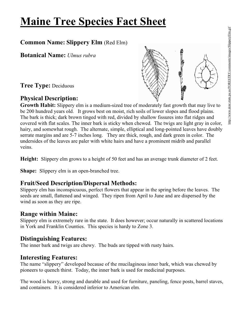 Maine Tree Species Fact Sheet