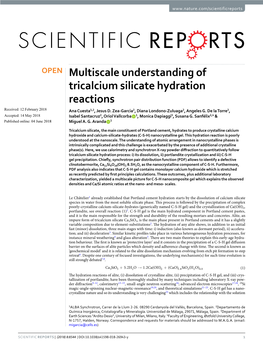 Multiscale Understanding of Tricalcium Silicate Hydration Reactions Received: 12 February 2018 Ana Cuesta1,2, Jesus D