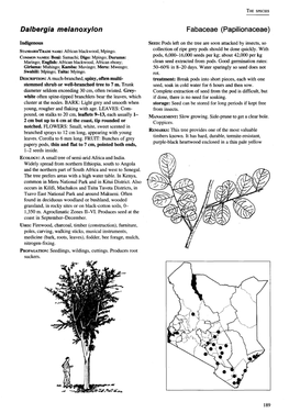 Dalbergia Me/Anoxylon Fabaceae (Papilionaceae)
