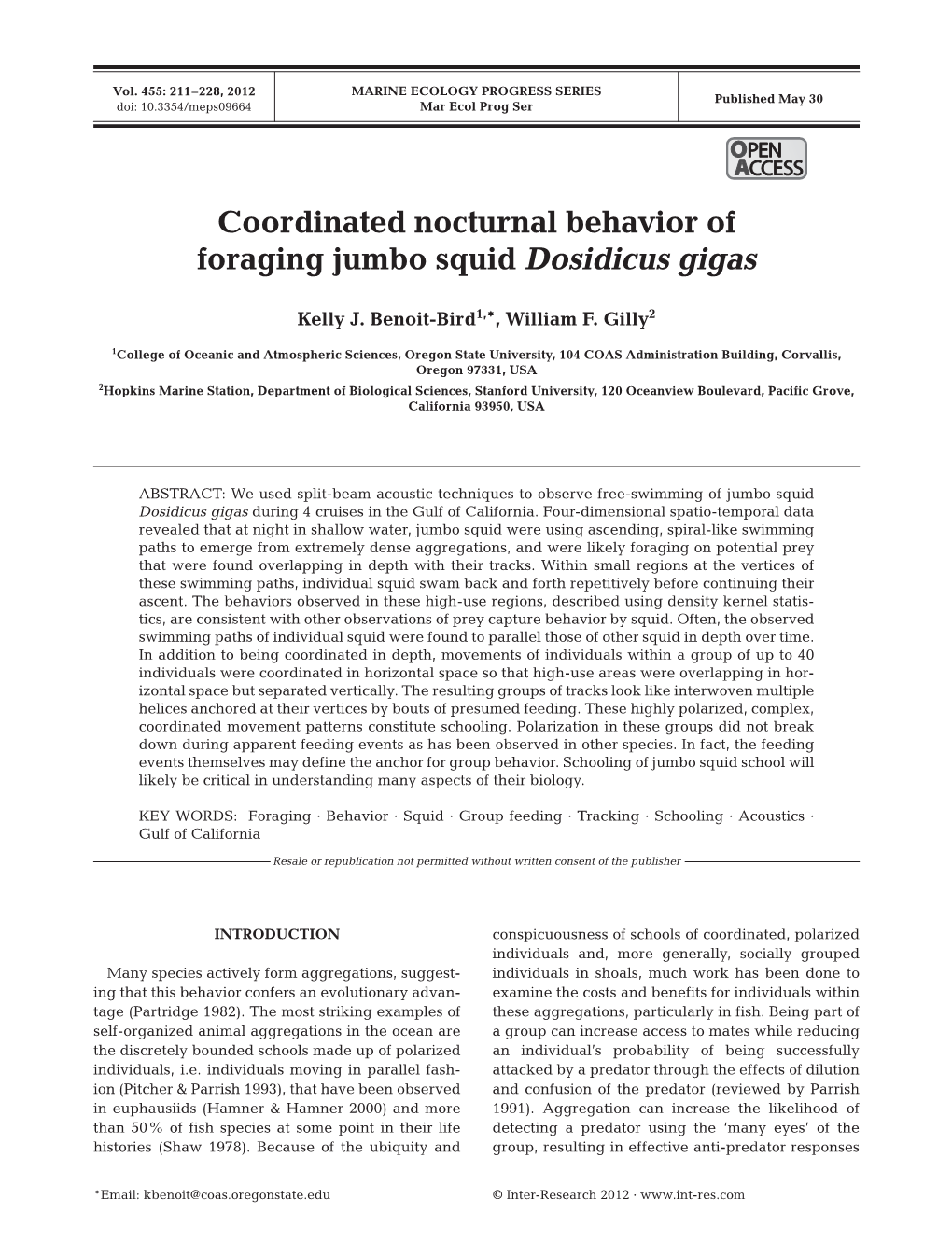 Coordinated Nocturnal Behavior of Foraging Jumbo Squid Dosidicus Gigas