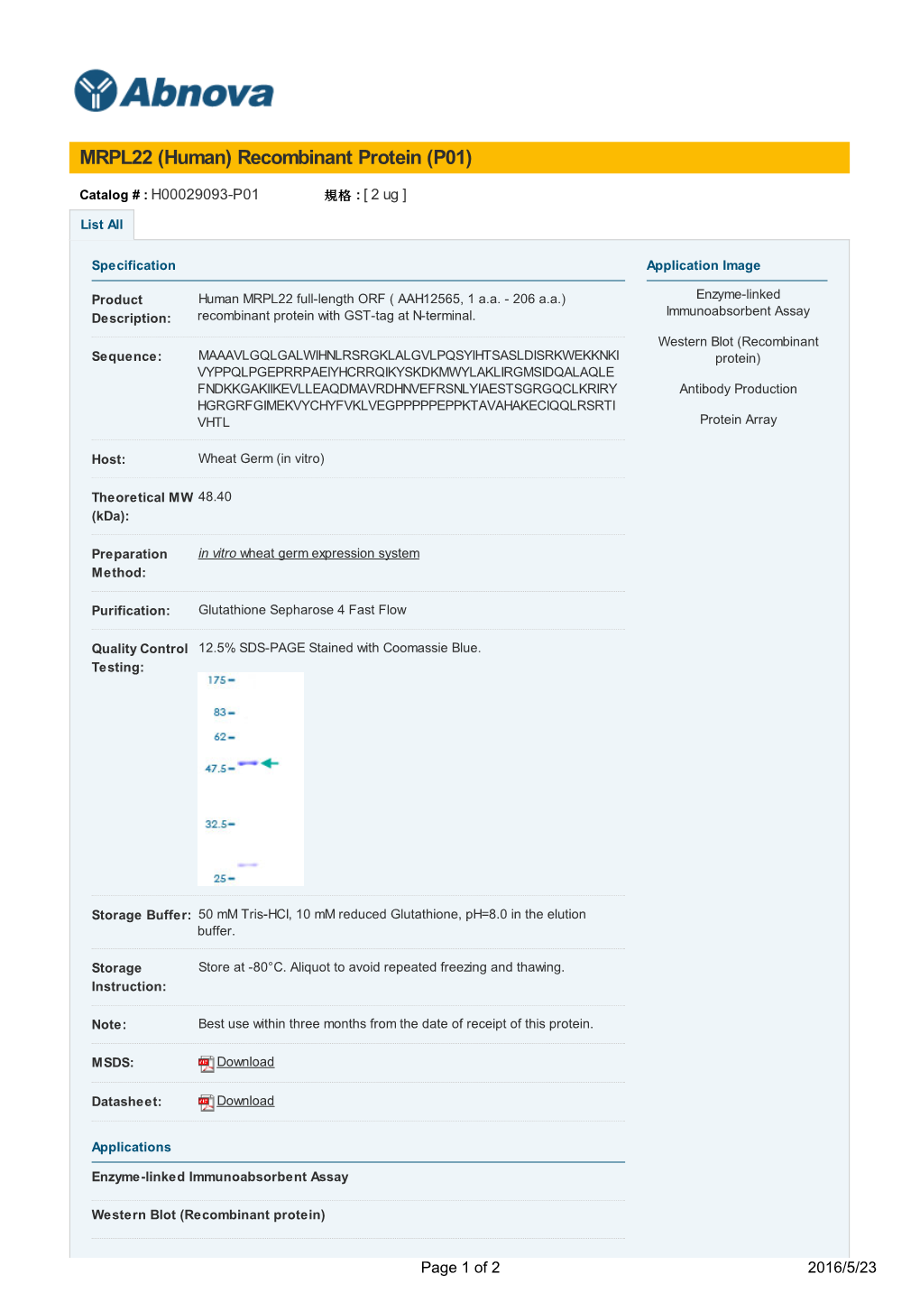 MRPL22 (Human) Recombinant Protein (P01)