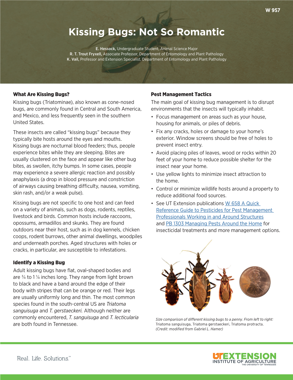 Kissing Bugs: Not So Romantic