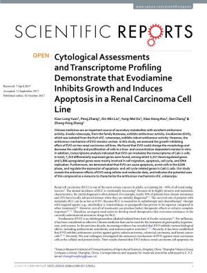 Cytological Assessments and Transcriptome Profiling