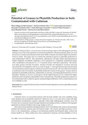 Potential of Grasses in Phytolith Production in Soils Contaminated with Cadmium