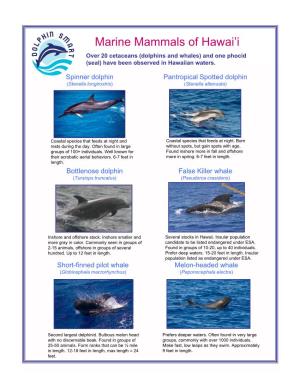 Marine Mammals of Hawai‛I Over 20 Cetaceans (Dolphins and Whales) and One Phocid (Seal) Have Been Observed in Hawaiian Waters