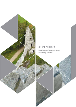 Appendix 3 Landscape Character Areas