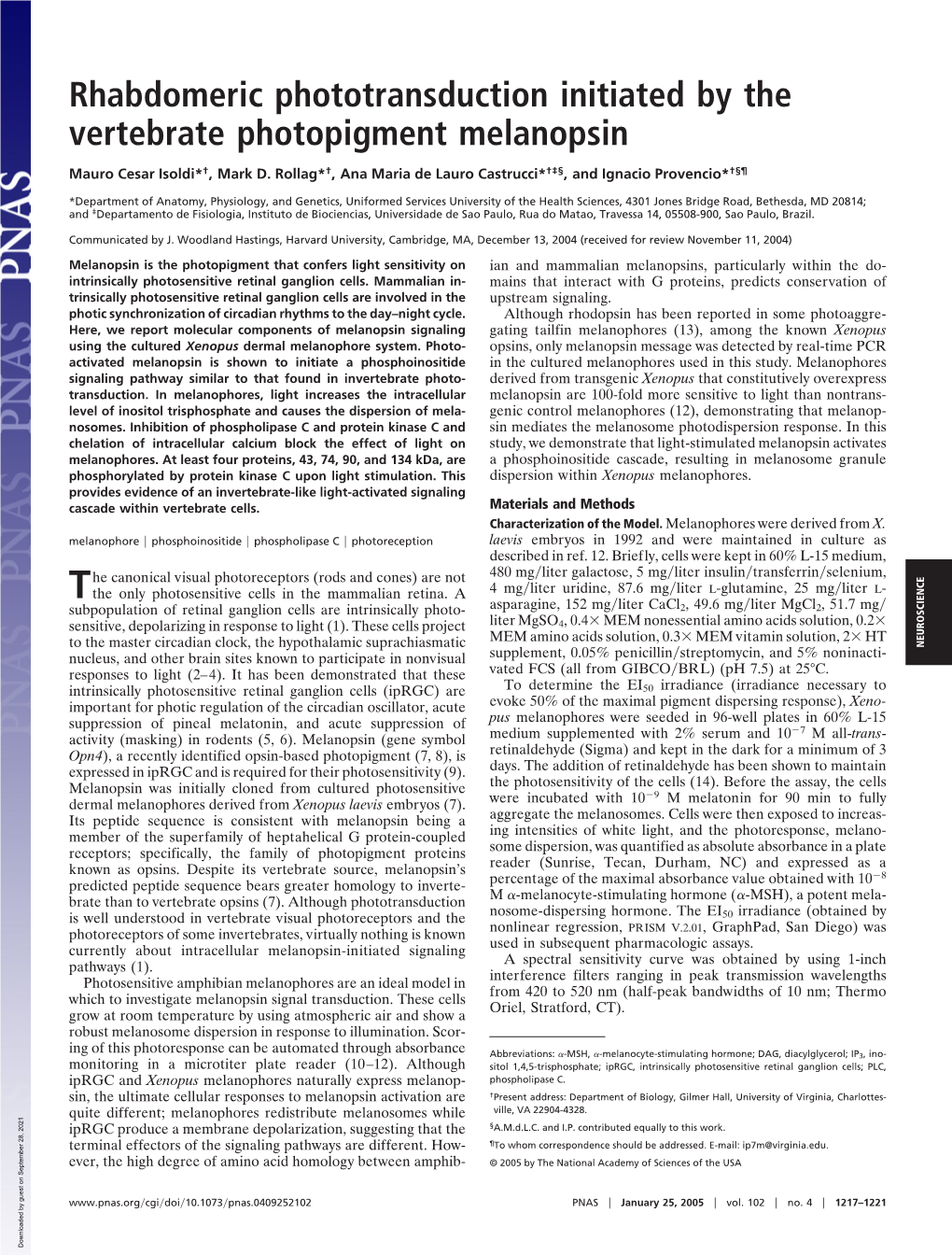 Rhabdomeric Phototransduction Initiated by the Vertebrate Photopigment Melanopsin