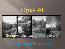 Saugerties, New York Overview of Opus 40…… Team Pink