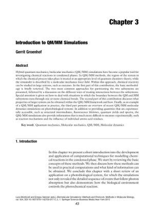 Introduction to QM/MM Simulations