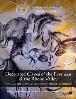 Decorated Caves of the Pyrenees & the Rhone Valley
