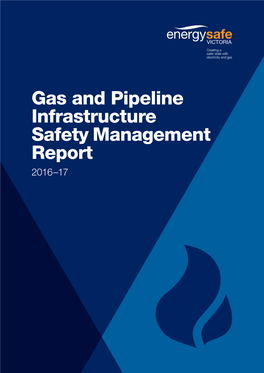 Gas and Pipeline Infrastructure Safety Management Report 2016–17