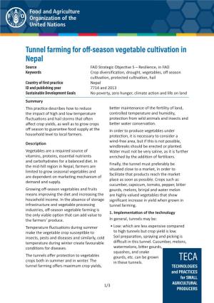 Tunnel Farming for Off-Season Vegetable Cultivation in Nepal