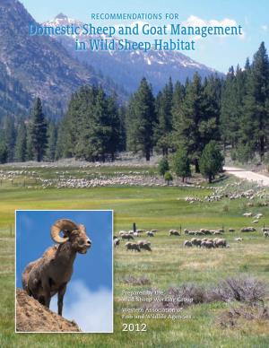 RECOMMENDATIONS for Domestic Sheep and Goat Management in Wild Sheep Habitat