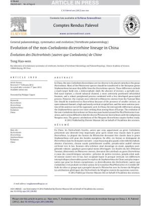 Evolution of the Non-Coelodonta Dicerorhine Lineage in China