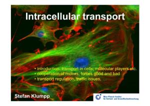 Intracellular Transport